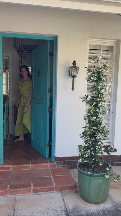 Camellia Dress- Chartreuse