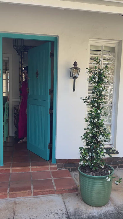 Camellia Dress- Pink