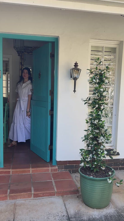 Camellia Dress- White